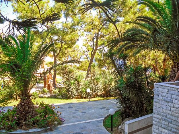 Garten mit Palmen - Hotel Kalithea Mare Palace Rhodos