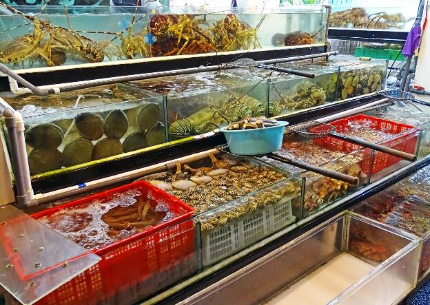Aquarien mit Meeresfrüchten im Fischerdorf Lei Yue Mun