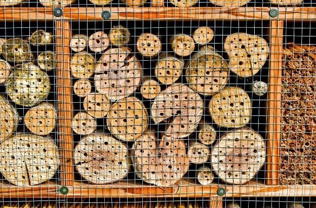 Insektenhotel im Kurpark in Bad Birnbach, Bayern