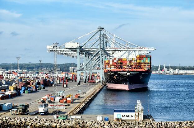 MSC INGY (IMO: 9755945) in Aarhus, Dänemark