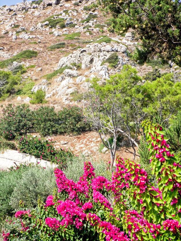 Landschaft - Hotel Kalithea Mare Palace Rhodos