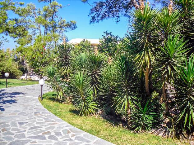 Garten - Hotel Kalithea Mare Palace Rhodos